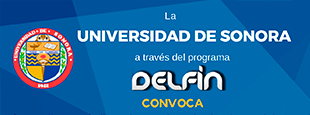 2do Verano de la Investigación Científica de la UNISON