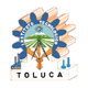Instituto Tecnolgico de Toluca
