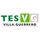 Tecnolgico de Estudios Superiores de Villa Guerrero