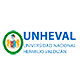 Universidad Nacional Hermilio Valdizn