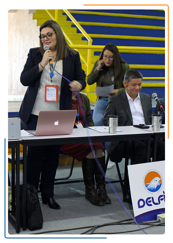 Programa Delfn